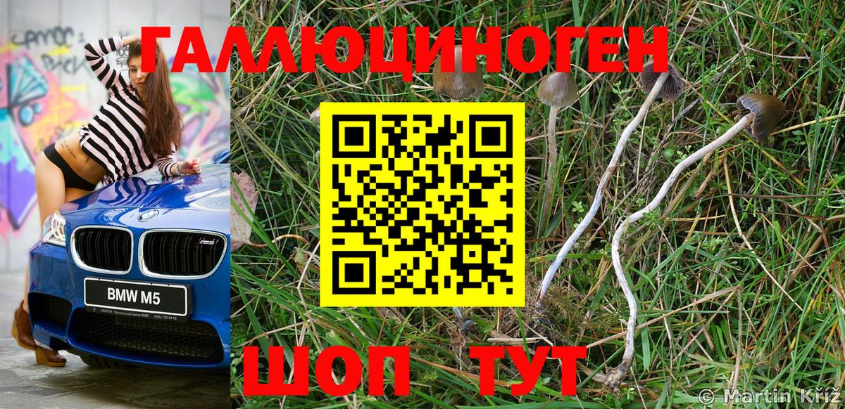 Псилоцибиновые грибы мухоморы Елец