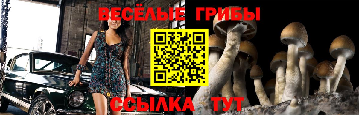 Елец  Псилоцибиновые грибы мухоморы  Вход с VPN  Псилоцибиновые грибы GOLDEN TEACHER 